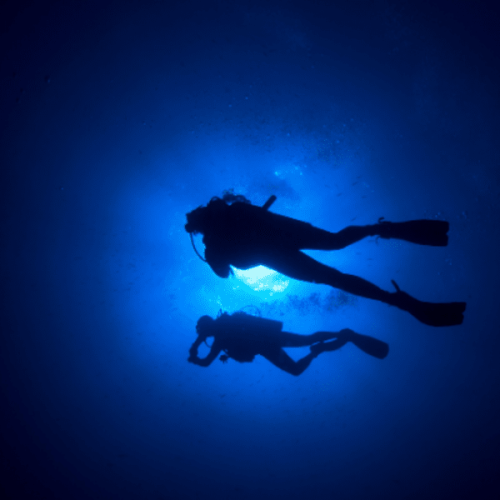 plongée sous-marine